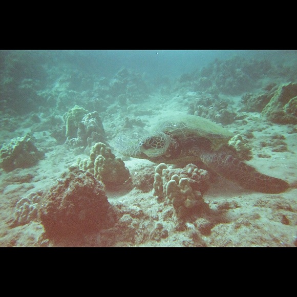 Meet your Posher, Chrystalline - Picture 2 of 2